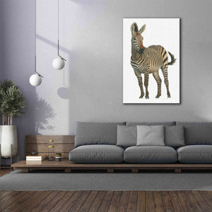 'Wild and Free VI' by James Wiens, Canvas Wall Art,40 x 60