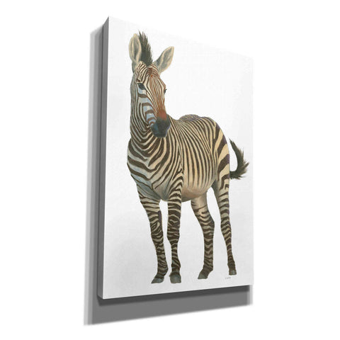 Image of 'Wild and Free VI' by James Wiens, Canvas Wall Art,12x18x1.1x0,18x26x1.1x0,26x40x1.74x0,40x60x1.74x0