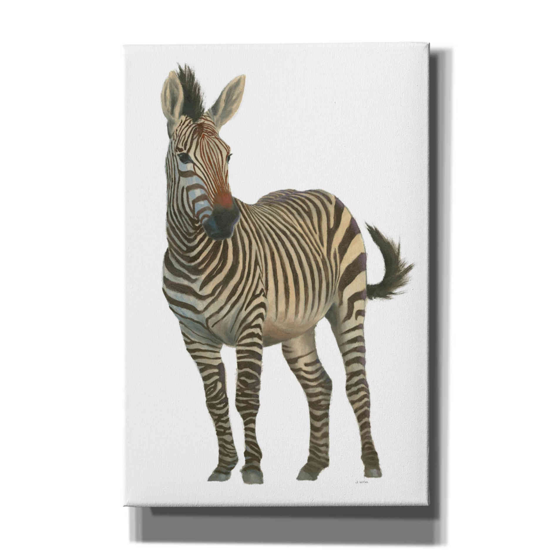 'Wild and Free VI' by James Wiens, Canvas Wall Art,12x18x1.1x0,18x26x1.1x0,26x40x1.74x0,40x60x1.74x0