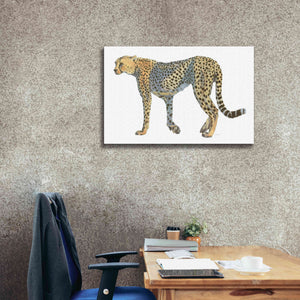 'Wild and Free VII' by James Wiens, Canvas Wall Art,40 x 26