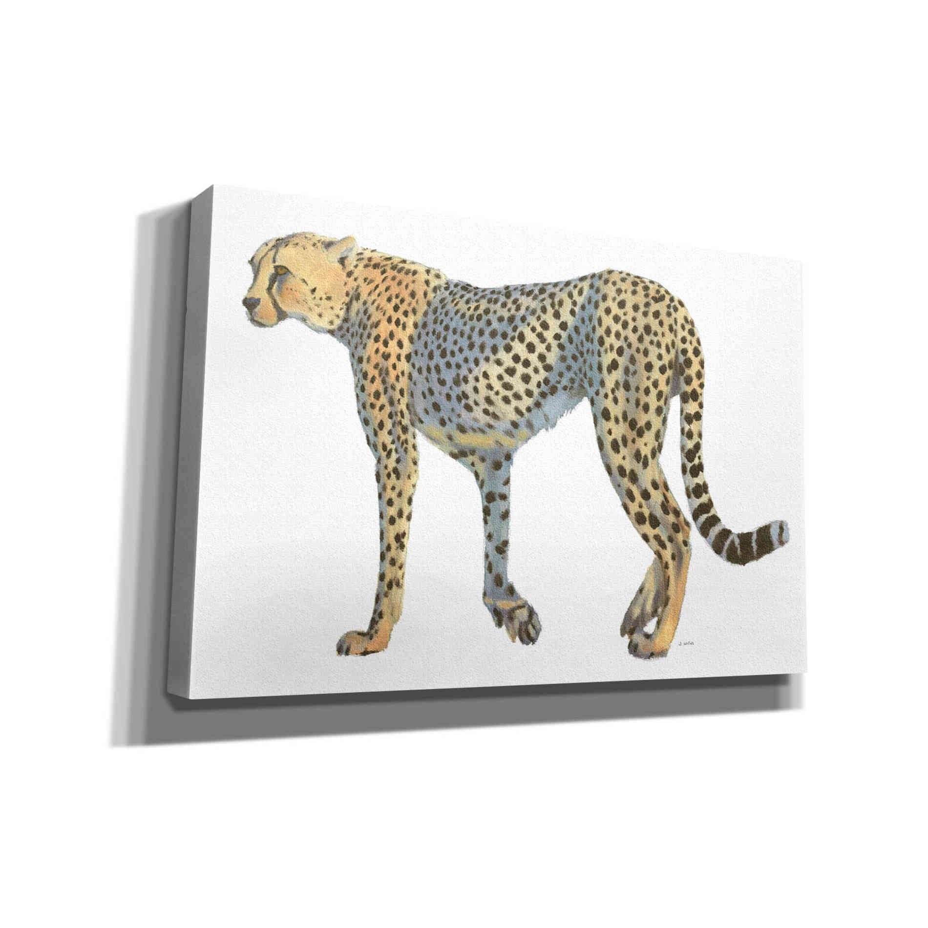 'Wild and Free VII' by James Wiens, Canvas Wall Art,18x12x1.1x0,26x18x1.1x0,40x26x1.74x0,60x40x1.74x0