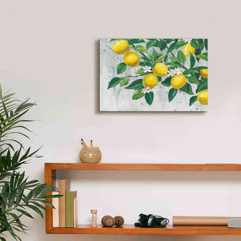 Image of 'Zesty Lemons' by James Wiens, Canvas Wall Art,18 x 12