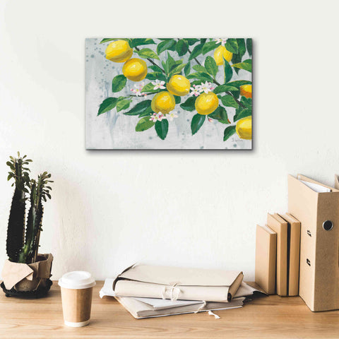 Image of 'Zesty Lemons' by James Wiens, Canvas Wall Art,18 x 12
