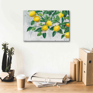 'Zesty Lemons' by James Wiens, Canvas Wall Art,18 x 12