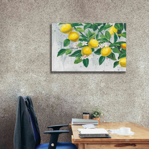 'Zesty Lemons' by James Wiens, Canvas Wall Art,40 x 26