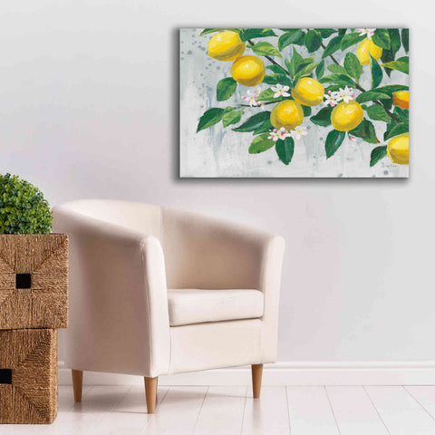 Image of 'Zesty Lemons' by James Wiens, Canvas Wall Art,40 x 26