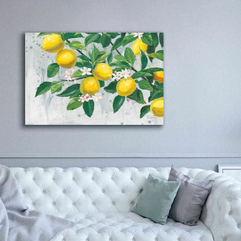 Image of 'Zesty Lemons' by James Wiens, Canvas Wall Art,60 x 40