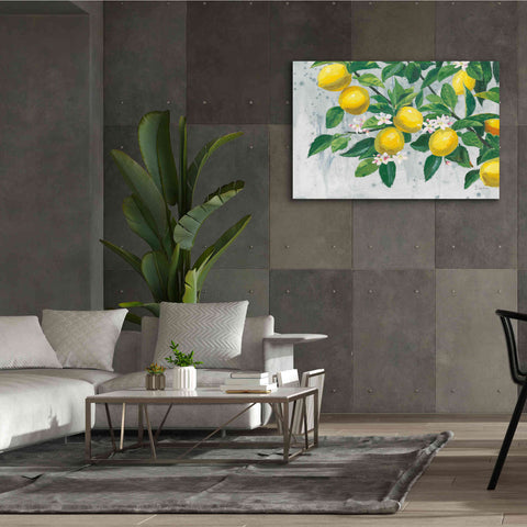 Image of 'Zesty Lemons' by James Wiens, Canvas Wall Art,60 x 40