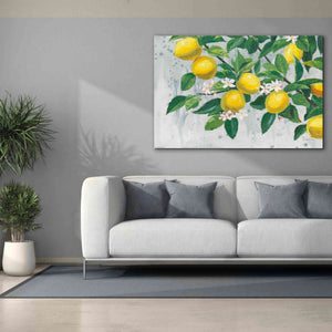 'Zesty Lemons' by James Wiens, Canvas Wall Art,60 x 40