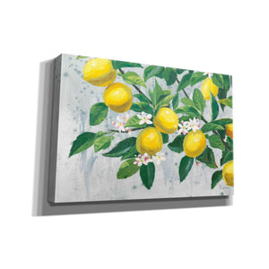 'Zesty Lemons' by James Wiens, Canvas Wall Art,18x12x1.1x0,26x18x1.1x0,40x26x1.74x0,60x40x1.74x0