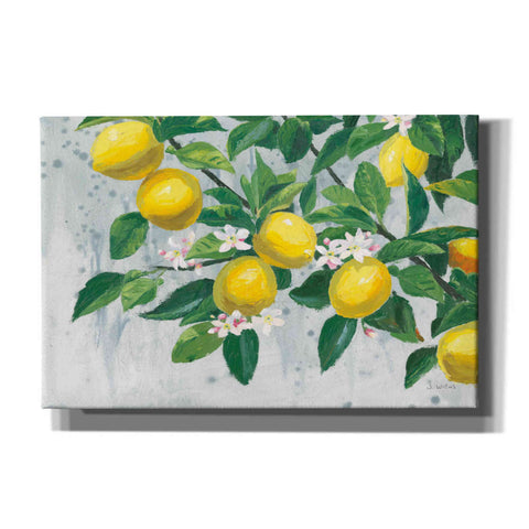 Image of 'Zesty Lemons' by James Wiens, Canvas Wall Art,18x12x1.1x0,26x18x1.1x0,40x26x1.74x0,60x40x1.74x0
