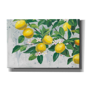'Zesty Lemons' by James Wiens, Canvas Wall Art,18x12x1.1x0,26x18x1.1x0,40x26x1.74x0,60x40x1.74x0