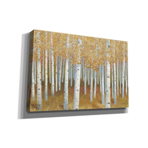 Image of 'Forest of Gold' by James Wiens, Canvas Wall Art,18x12x1.1x0,26x18x1.1x0,40x26x1.74x0,60x40x1.74x0