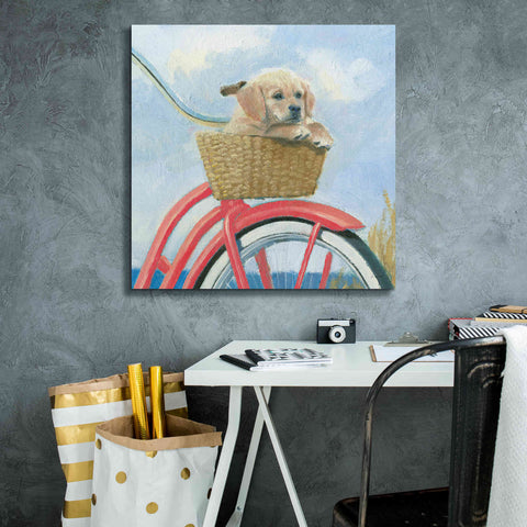 Image of 'Beach Ride V' by James Wiens, Canvas Wall Art,26 x 26