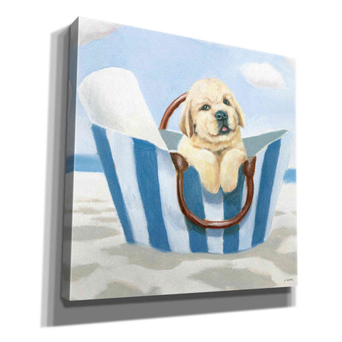 'Beach Ride VI' by James Wiens, Canvas Wall Art,12x12x1.1x0,18x18x1.1x0,26x26x1.74x0,37x37x1.74x0