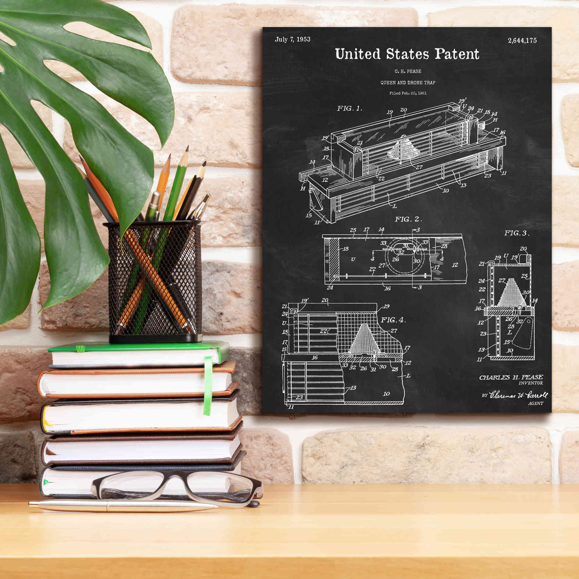 'Queen and Drone Trap Blueprint Patent Chalkboard,' Canvas Wall Art,12 x 16