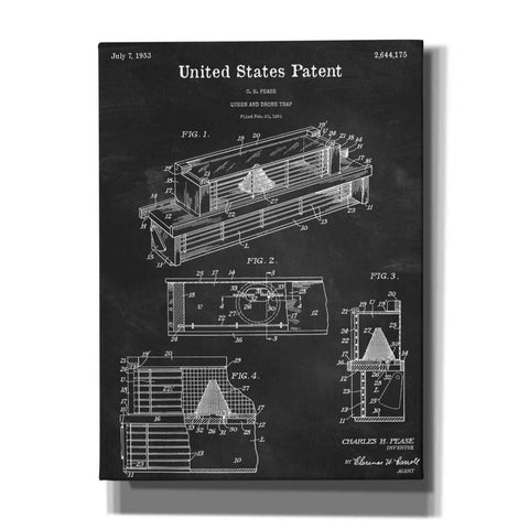 Image of 'Queen and Drone Trap Blueprint Patent Chalkboard,' Canvas Wall Art,12x16x1.1x0,18x26x1.1x0,26x34x1.74x0,40x54x1.74x0