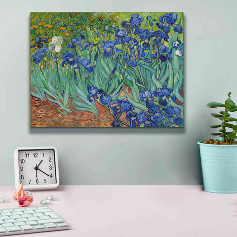 Image of 'Irises' by Vincent van Gogh, Canvas Wall Art,16 x 12