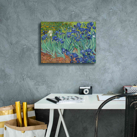 Image of 'Irises' by Vincent van Gogh, Canvas Wall Art,16 x 12