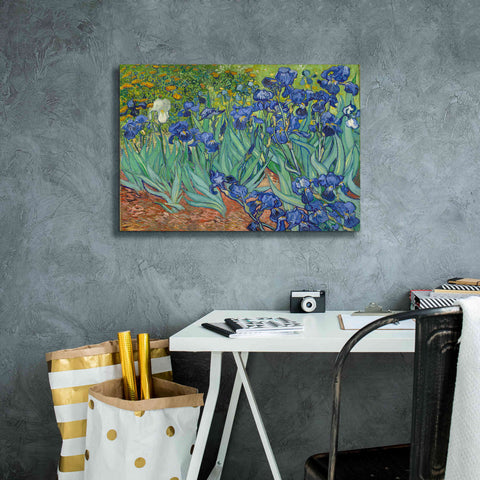 Image of 'Irises' by Vincent van Gogh, Canvas Wall Art,26 x 18