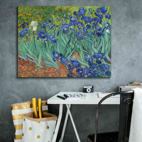 Image of 'Irises' by Vincent van Gogh, Canvas Wall Art,34 x 26