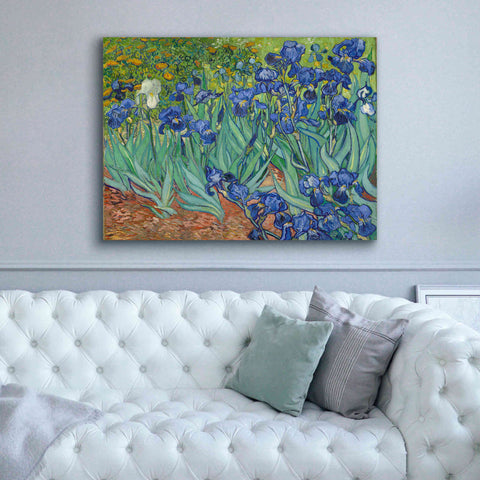 Image of 'Irises' by Vincent van Gogh, Canvas Wall Art,54 x 40