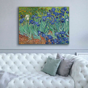 'Irises' by Vincent van Gogh, Canvas Wall Art,54 x 40