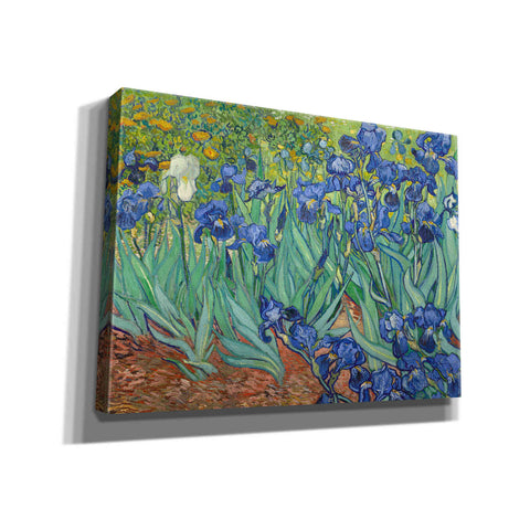 Image of 'Irises' by Vincent van Gogh, Canvas Wall Art,16x12x1.1x0,26x18x1.1x0,34x26x1.74x0,54x40x1.74x0