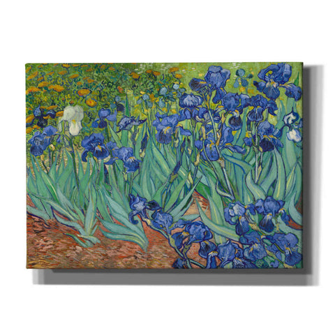 Image of 'Irises' by Vincent van Gogh, Canvas Wall Art,16x12x1.1x0,26x18x1.1x0,34x26x1.74x0,54x40x1.74x0