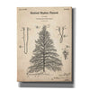 'Artificial Christmas Tree Blueprint Patent Parchment,' Canvas Wall Art,12x16x1.1x0,18x26x1.1x0,26x34x1.74x0,40x54x1.74x0