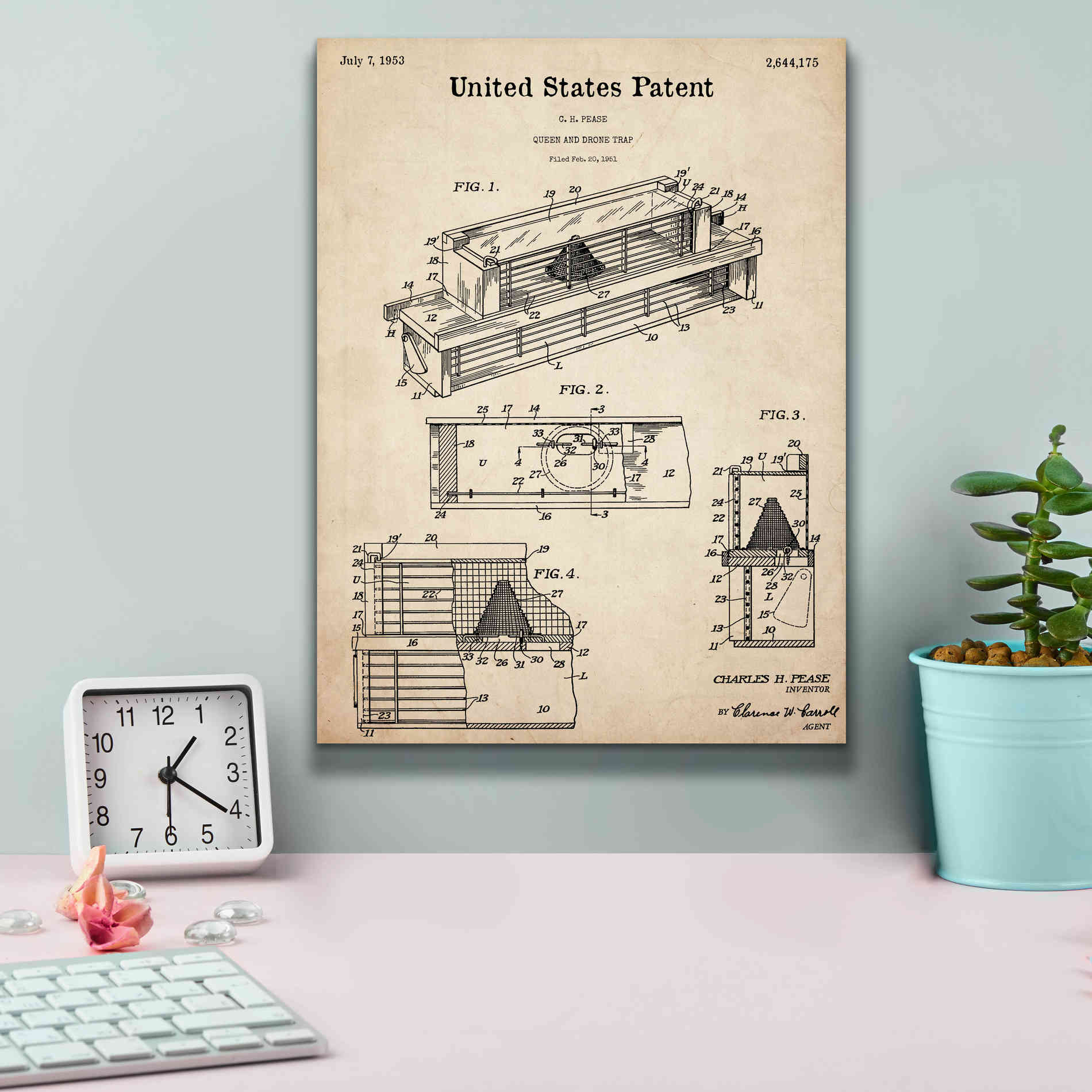 'Queen and Drone Trap Blueprint Patent Parchment,' Canvas Wall Art,12 x 16
