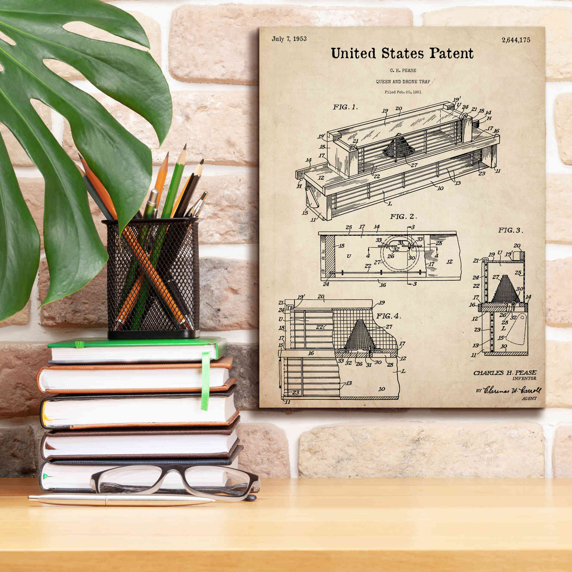 'Queen and Drone Trap Blueprint Patent Parchment,' Canvas Wall Art,12 x 16