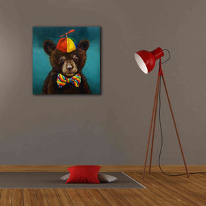 'Baby Bear' by Lucia Heffernan, Canvas Wall Art,26x26