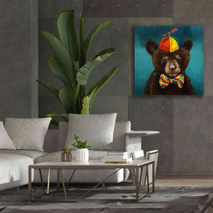 'Baby Bear' by Lucia Heffernan, Canvas Wall Art,37x37