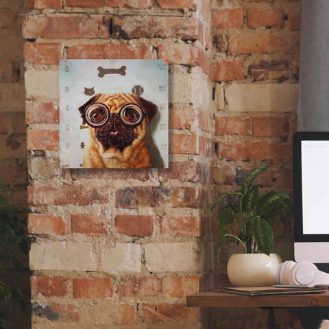 Image of 'Canine Eye Exam' by Lucia Heffernan, Canvas Wall Art,12x12