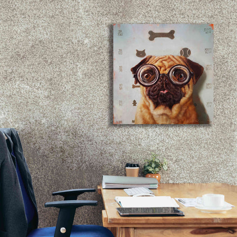 Image of 'Canine Eye Exam' by Lucia Heffernan, Canvas Wall Art,26x26