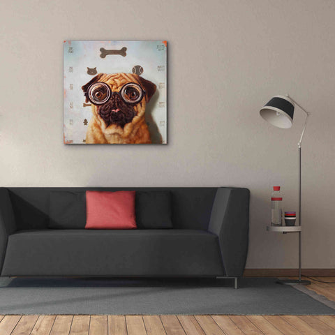 Image of 'Canine Eye Exam' by Lucia Heffernan, Canvas Wall Art,37x37