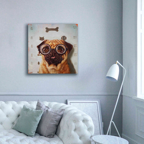 Image of 'Canine Eye Exam' by Lucia Heffernan, Canvas Wall Art,37x37
