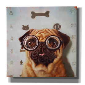 'Canine Eye Exam' by Lucia Heffernan, Canvas Wall Art