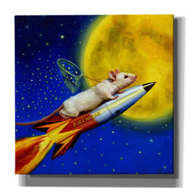 'Dream Catcher' by Lucia Heffernan, Canvas Wall Art