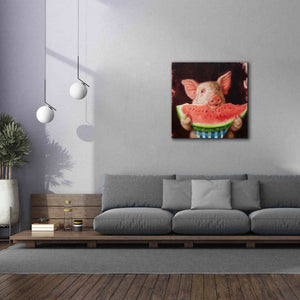 'Pig Out' by Lucia Heffernan, Canvas Wall Art,37x37