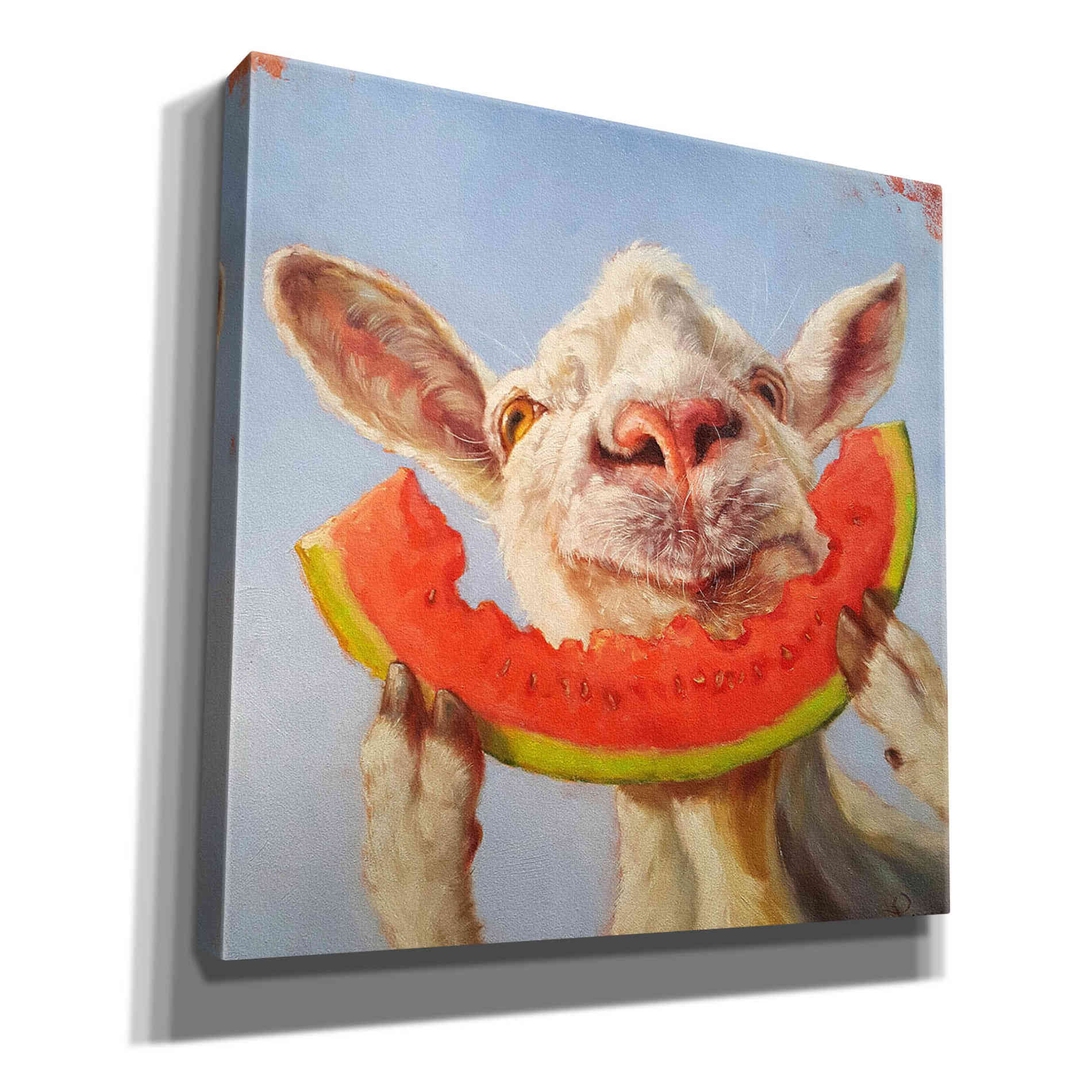 'Summer Treat' by Lucia Heffernan, Canvas Wall Art