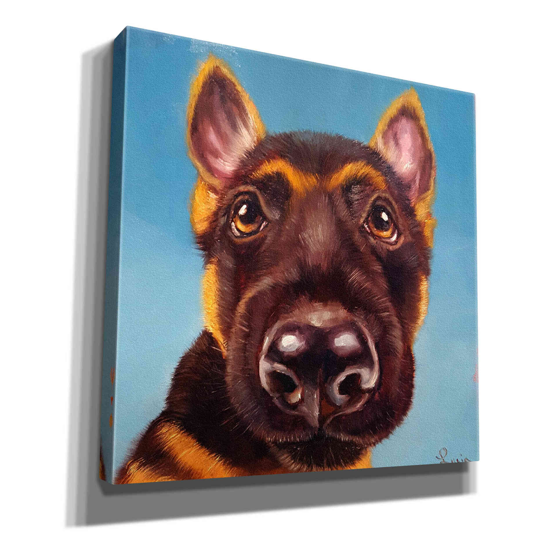 'Follow Your Nose 1' by Lucia Heffernan, Canvas Wall Art