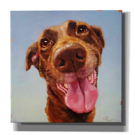 'Follow Your Nose 5' by Lucia Heffernan, Canvas Wall Art