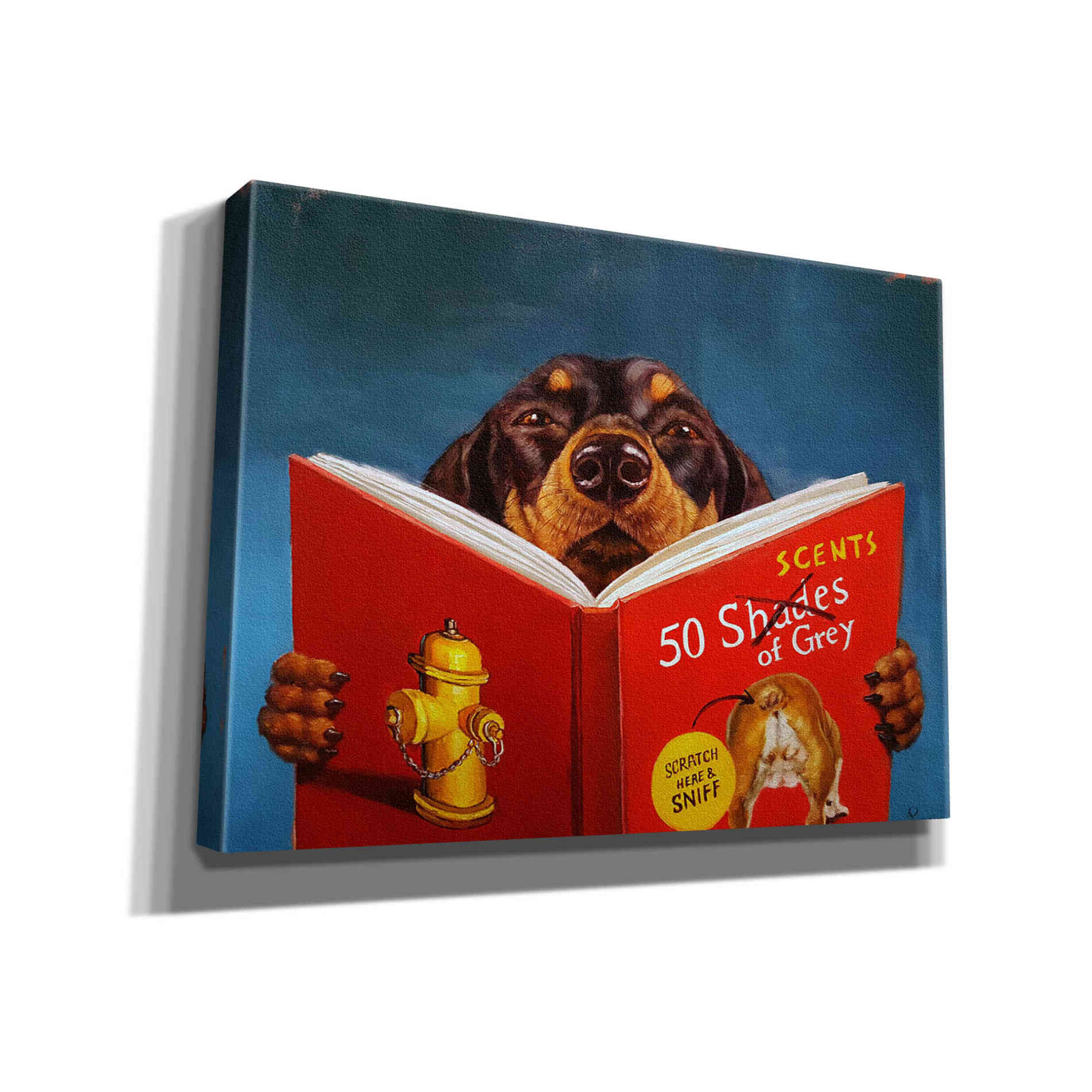 '50 Scents of Grey' by Lucia Heffernan, Canvas Wall Art