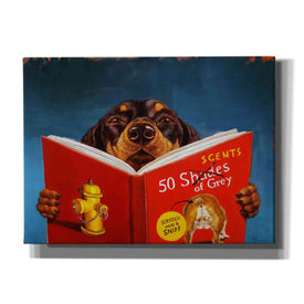 '50 Scents of Grey' by Lucia Heffernan, Canvas Wall Art