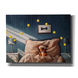 'Bentleyâ€™s Dream' by Lucia Heffernan, Canvas Wall Art