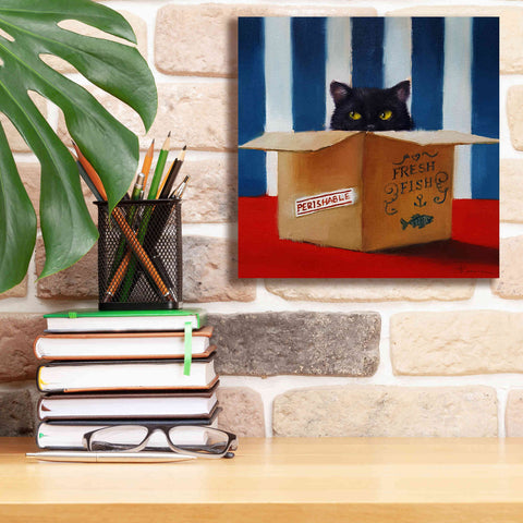 Image of 'Cat Burglar' by Lucia Heffernan, Canvas Wall Art,12x12