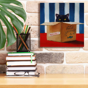 'Cat Burglar' by Lucia Heffernan, Canvas Wall Art,12x12