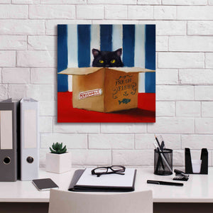 'Cat Burglar' by Lucia Heffernan, Canvas Wall Art,18x18